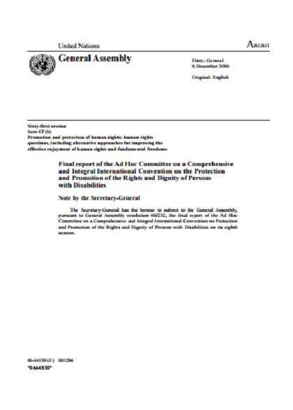  Final report of the Ad Hoc Committee on a Comprehensive and Integral International 